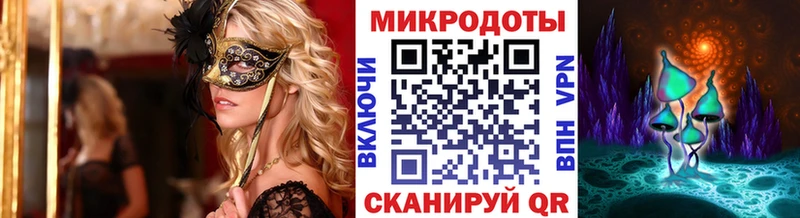 Галлюциногенные грибы Psilocybine cubensis  Ядрин 