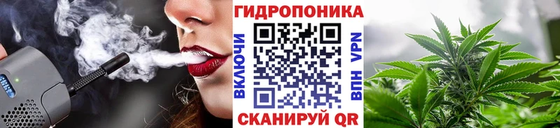 где найти Ядрин Каннабис ГИДРОПОН